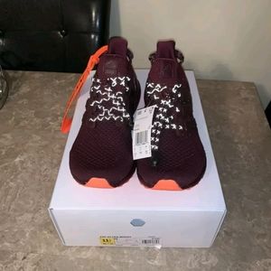 Adidas Ivy Park Ultra Boost